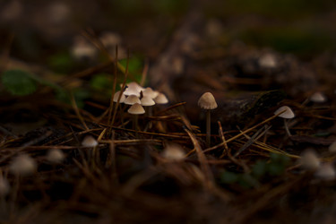 Similar image 22595064