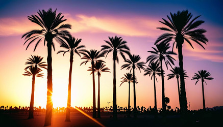 Similar image 22617669