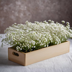 Similar image 22617804