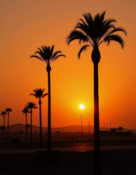 Similar image 22617682