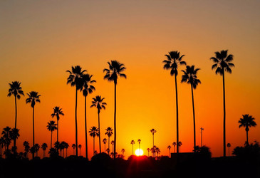 Similar image 22617924