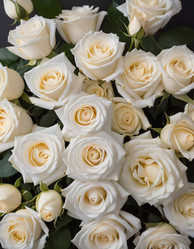 Similar image 22617683