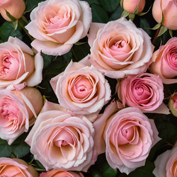 Similar image 22617520