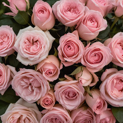 Similar image 22617807