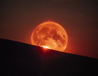 Similar image 22617696