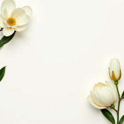 Similar image 22617579