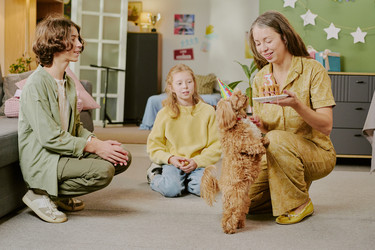 Similar image 22615621