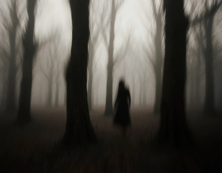 Similar image 22617523