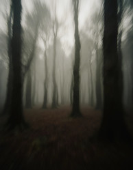 Similar image 22617688