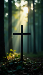 Similar image 22617701