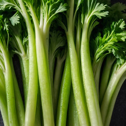 Similar image 22617865