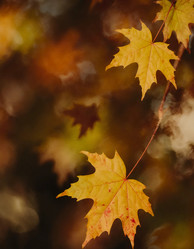 Similar image 22617824