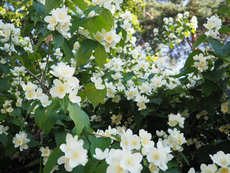 Similar image 22617703