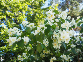 Similar image 22617838