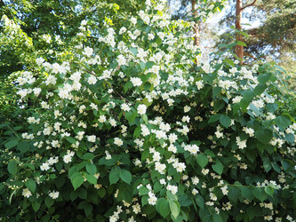 Similar image 22617958