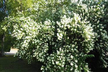 Similar image 22618078