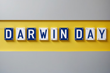 Similar image 22620879