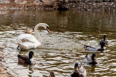 Similar image 22601365