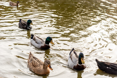 Similar image 22601393