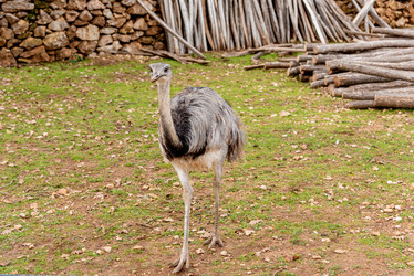 Similar image 22601515