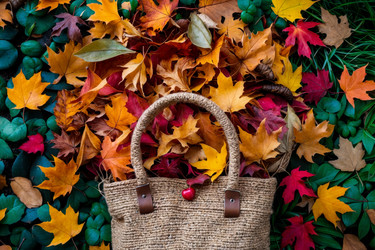 Similar image 22601293