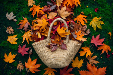 Similar image 22601349