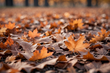 Similar image 22601414