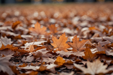 Similar image 22601444