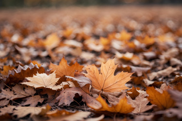 Similar image 22601471