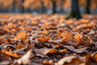 Similar image 22601498