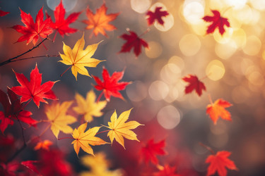 Similar image 22601565