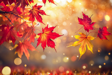 Similar image 22601589