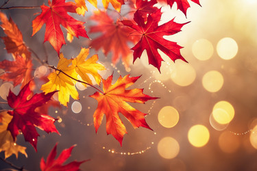 Similar image 22601610