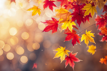 Similar image 22601637