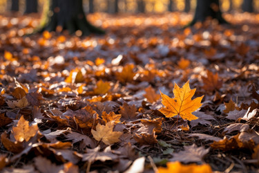 Similar image 22601755