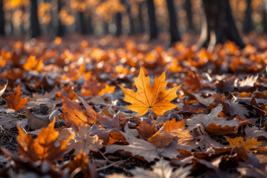 Similar image 22601775