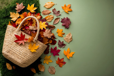 Similar image 22601800