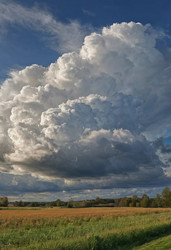 Similar image 22618064