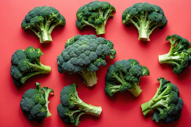 Similar image 22621021