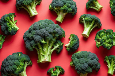 Similar image 22631504