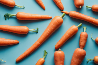 Similar image 22631533