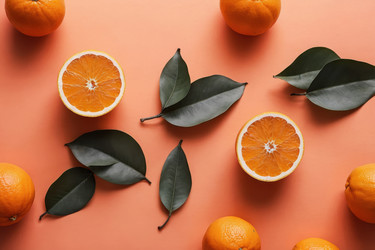 Similar image 22633639