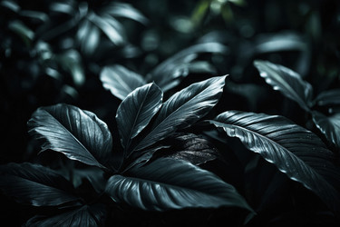 Similar image 22601803