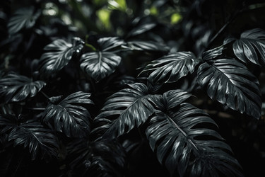 Similar image 22620604