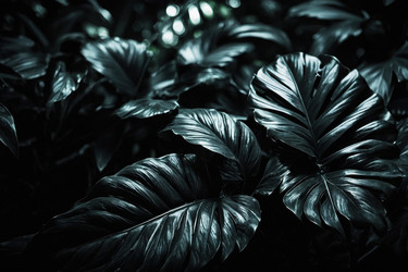 Similar image 22620635