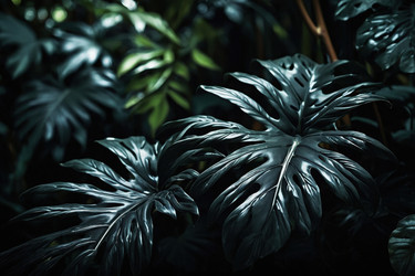 Similar image 22620813