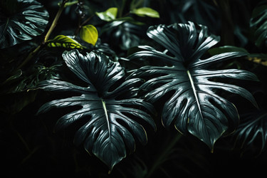 Similar image 22620830