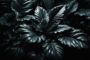 Similar image 22620860