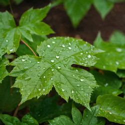 Similar image 22617959