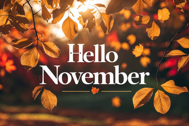 Similar image 22633528